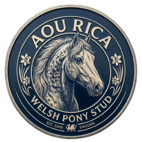 Aou Rica logotyp
